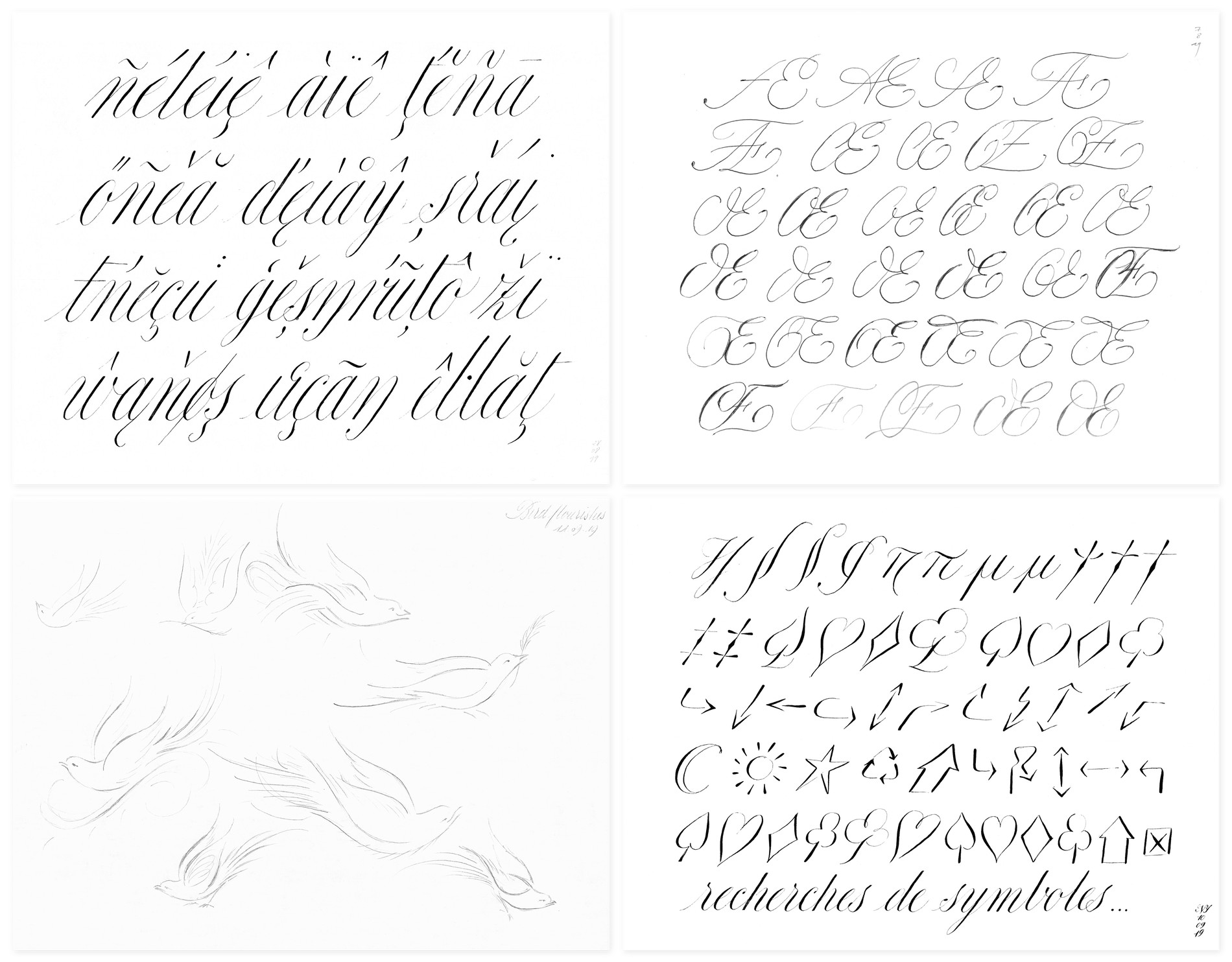 carta-sketches-all