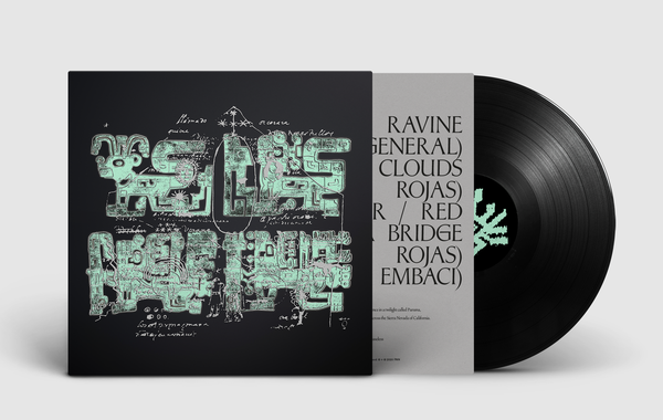 EC-VINYLMOCKUPFRONT.png